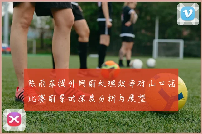 陈雨菲提升网前处理效率对山口茜比赛前景的深度分析与展望