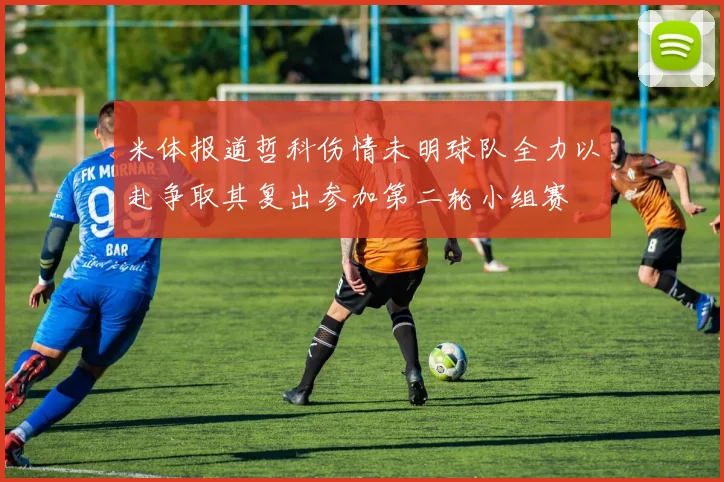 米体报道哲科伤情未明球队全力以赴争取其复出参加第二轮小组赛
